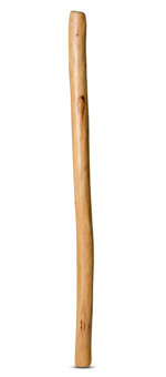Medium Size Natural Finish Didgeridoo (TW526)